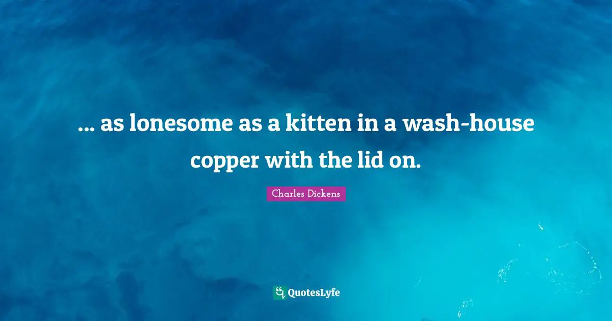 ... as lonesome as a kitten in a wash-house copper with the lid on.