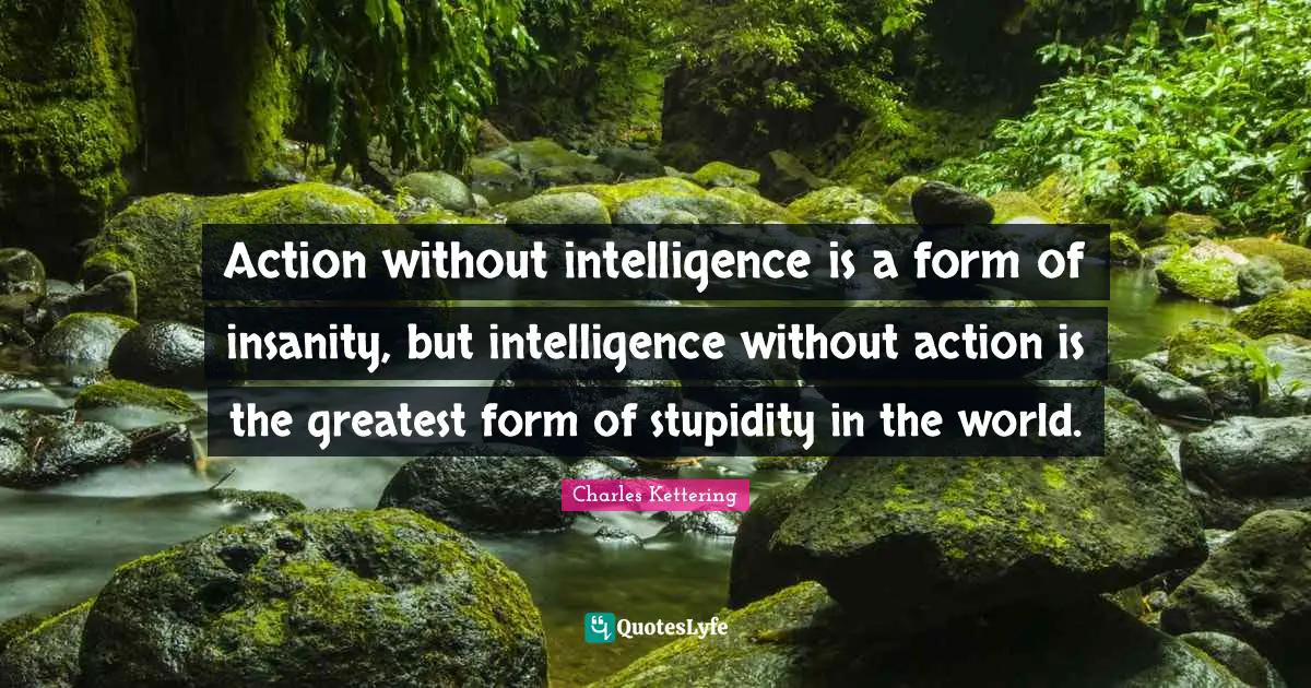 Action without intelligence is a form of insanity, but intelligence without action is the greatest form of stupidity in the world.