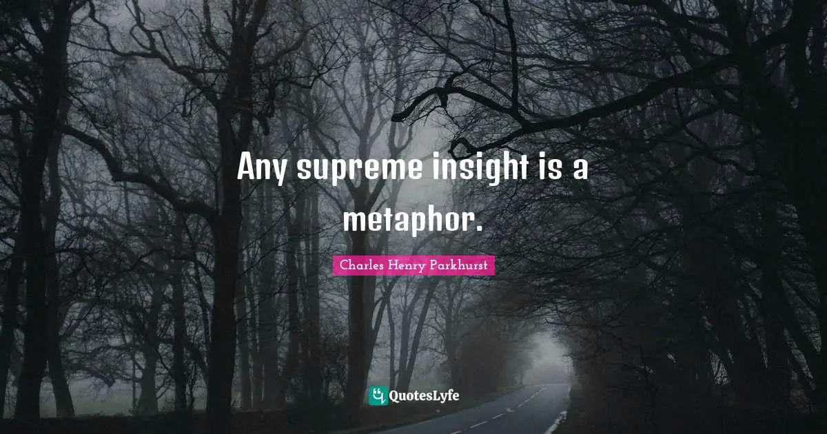 Any supreme insight is a metaphor.