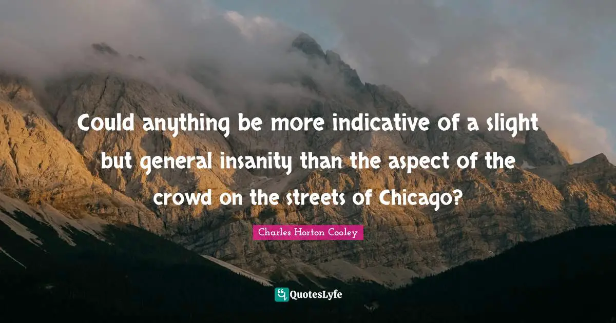 Could anything be more indicative of a slight but general insanity than the aspect of the crowd on the streets of Chicago?