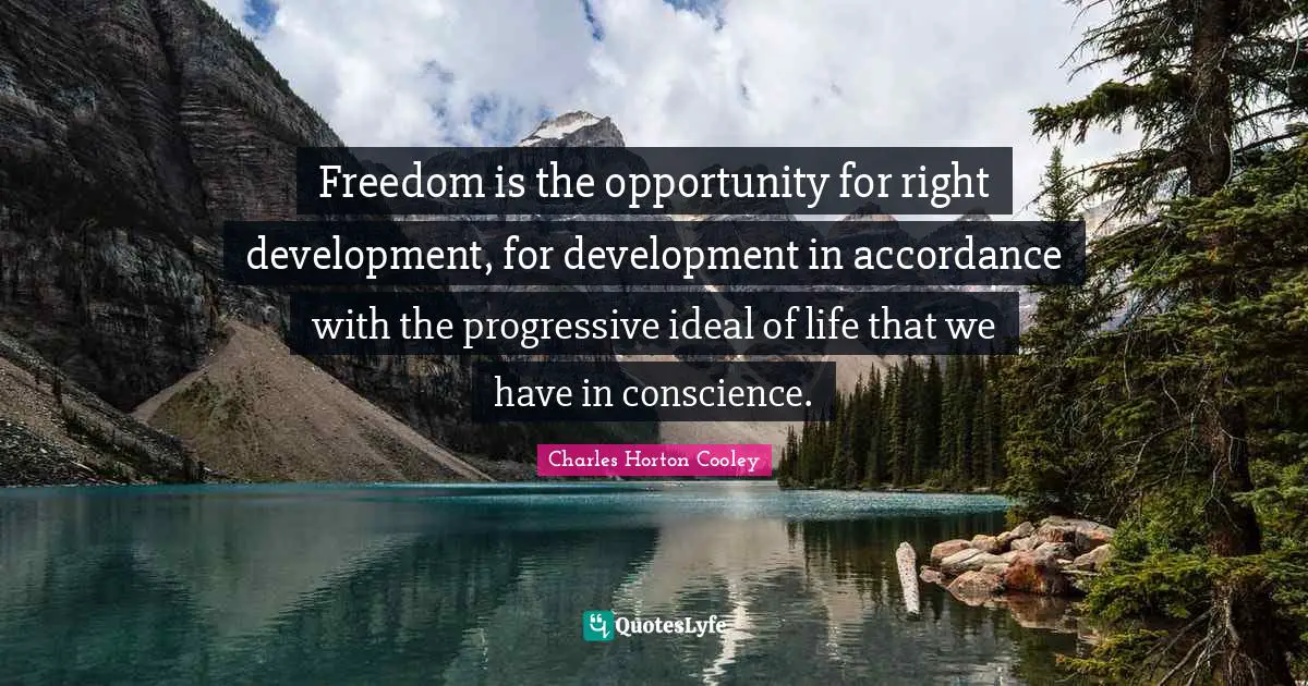 Freedom is the opportunity for right development, for development in accordance with the progressive ideal of life that we have in conscience.
