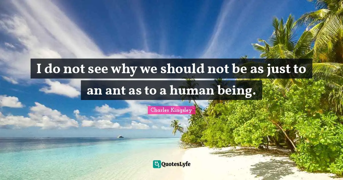 I do not see why we should not be as just to an ant as to a human being.