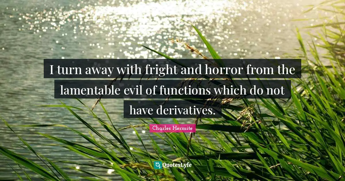 I turn away with fright and horror from the lamentable evil of functions which do not have derivatives.