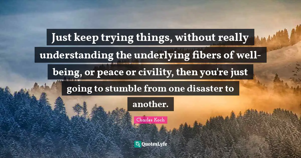 Just keep trying things, without really understanding the underlying fibers of well-being, or peace or civility, then you're just going to stumble from one disaster to another.