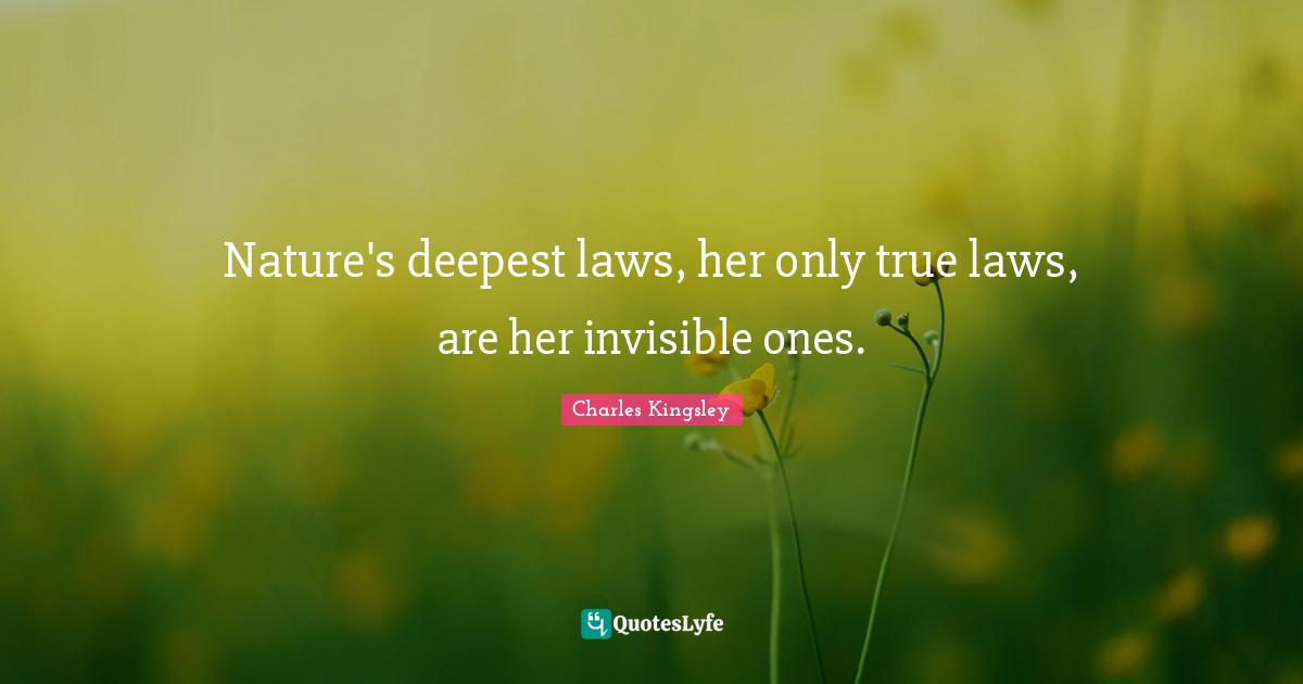 Nature's deepest laws, her only true laws, are her invisible ones.