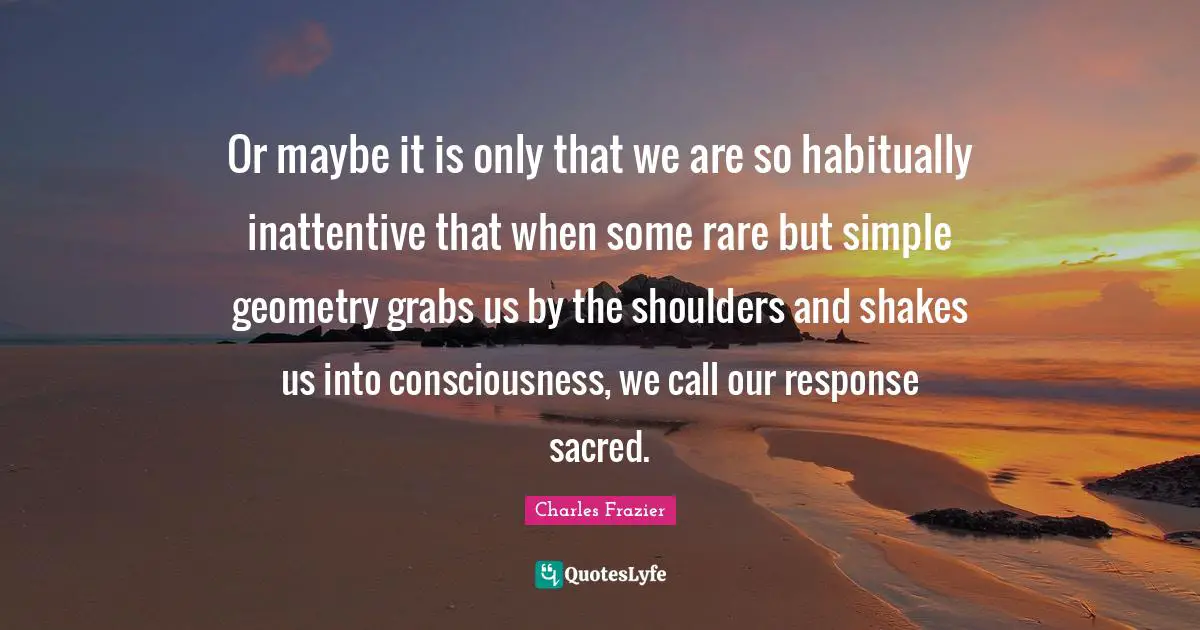 Or maybe it is only that we are so habitually inattentive that when some rare but simple geometry grabs us by the shoulders and shakes us into consciousness, we call our response sacred.