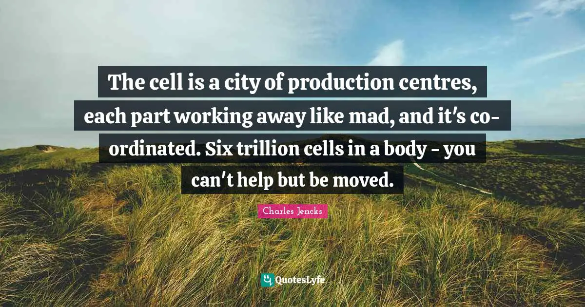 The cell is a city of production centres, each part working away like mad, and it's co-ordinated. Six trillion cells in a body - you can't help but be moved.