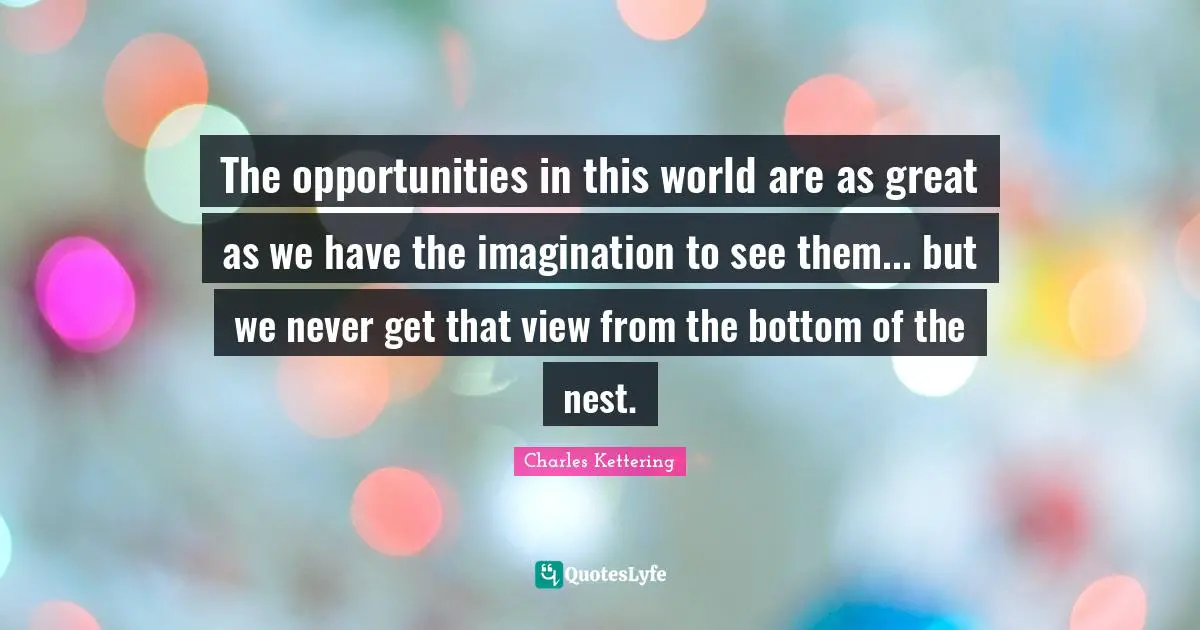 The opportunities in this world are as great as we have the imagination to see them... but we never get that view from the bottom of the nest.