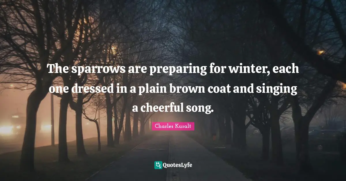 The sparrows are preparing for winter, each one dressed in a plain brown coat and singing a cheerful song.