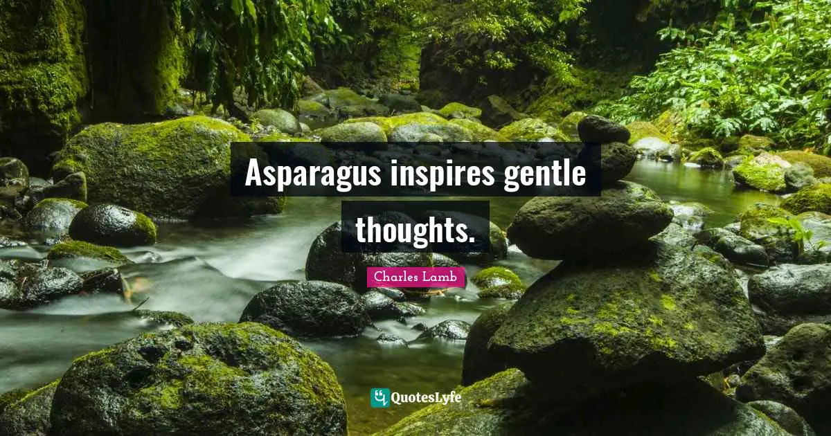 Asparagus Quotes: "Asparagus inspires gentle thoughts."