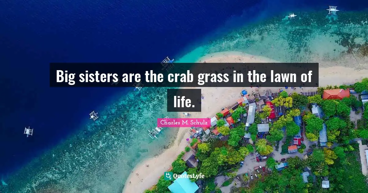Big sisters are the crab grass in the lawn of life.