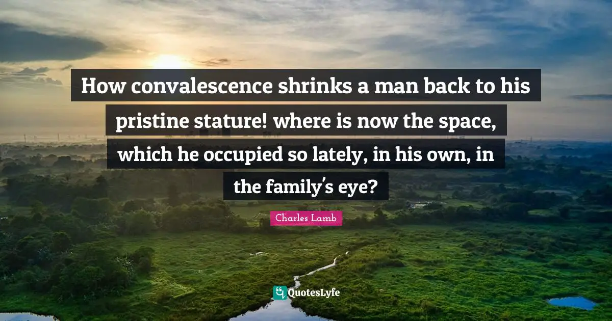 How convalescence shrinks a man back to his pristine stature! where is now the space, which he occupied so lately, in his own, in the family's eye?