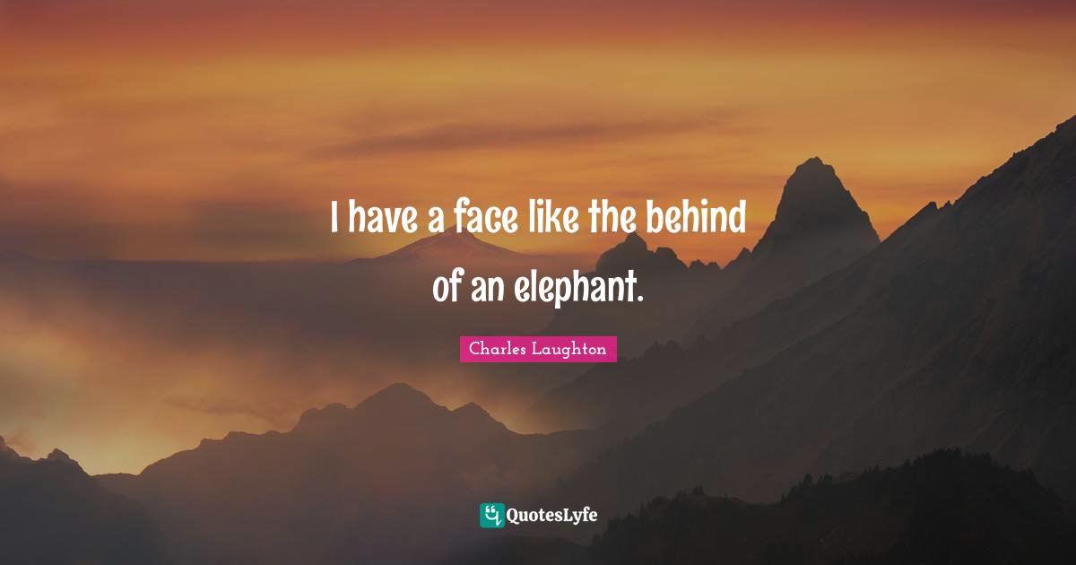 I have a face like the behind of an elephant.