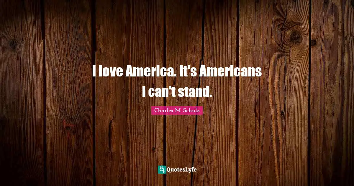 I love America. It's Americans I can't stand.