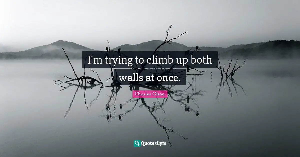 I'm trying to climb up both walls at once.