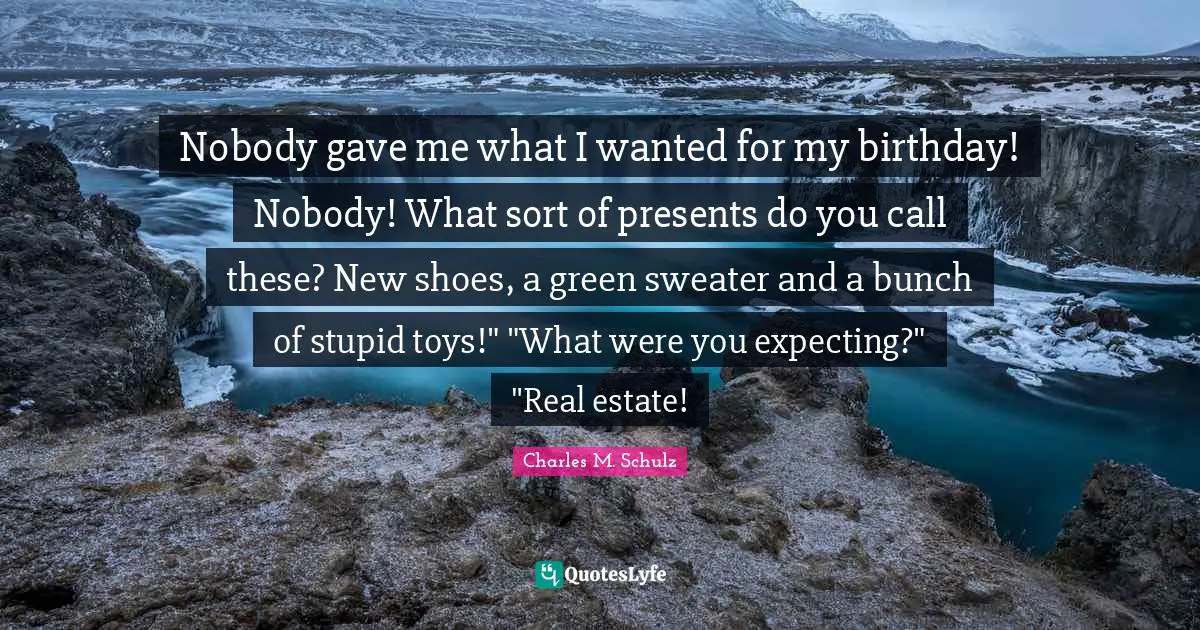 Nobody gave me what I wanted for my birthday! Nobody! What sort of presents do you call these? New shoes, a green sweater and a bunch of stupid toys!" "What were you expecting?" "Real estate!