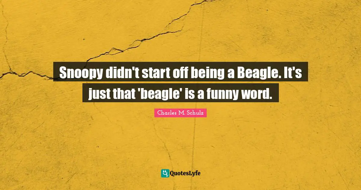 Beagles Quotes: "Snoopy didn't start off being a Beagle. It's just that 'beagle' is a funny word."