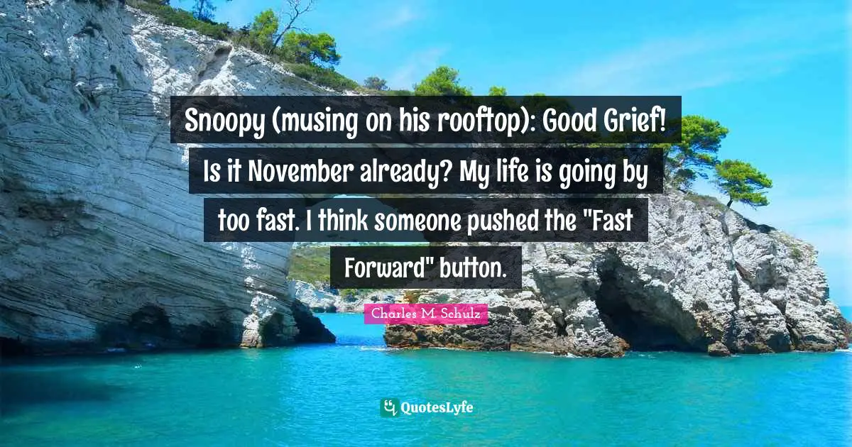 November Quotes: "Snoopy (musing on his rooftop): Good Grief! Is it November already? My life is going by too fast. I think someone pushed the "Fast Forward" button."