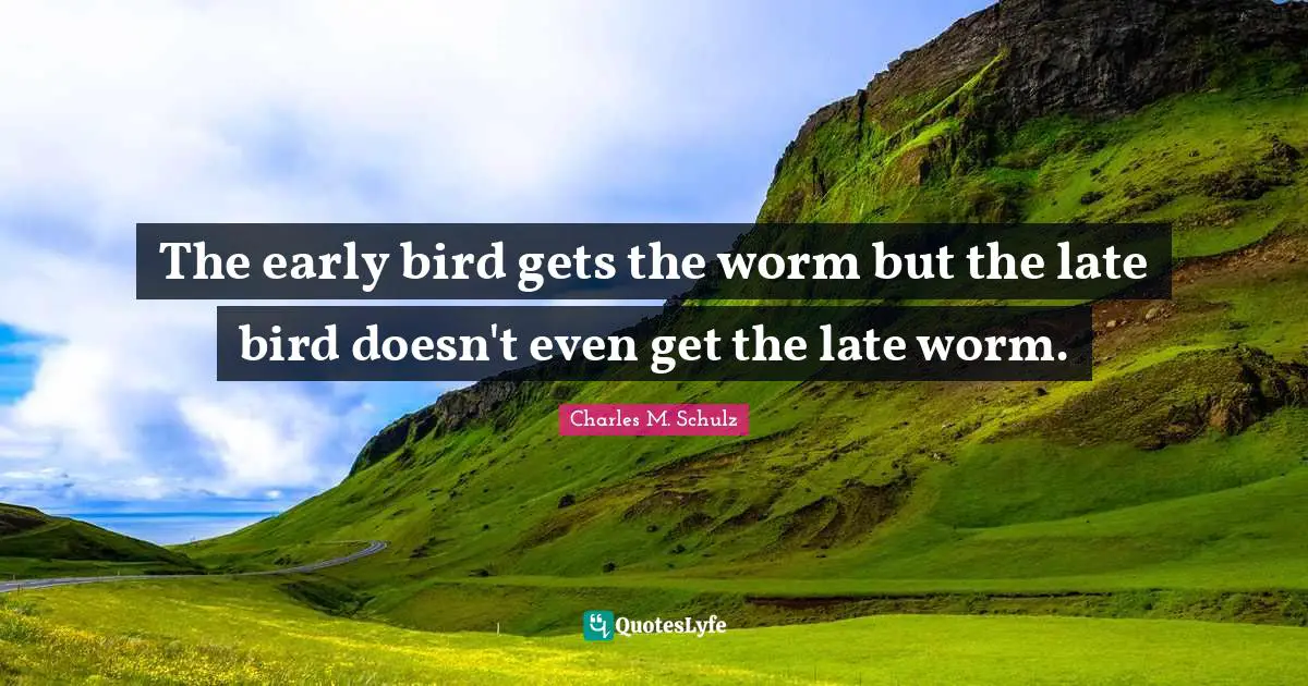 Early Bird Quotes: "The early bird gets the worm but the late bird doesn't even get the late worm."