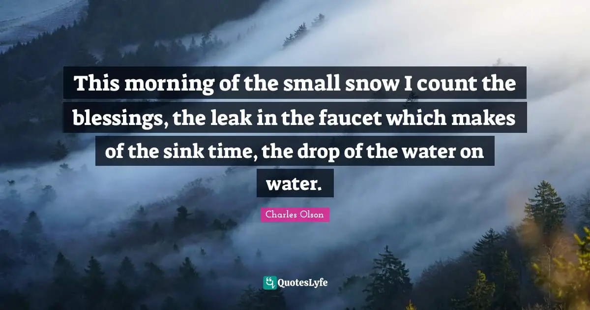 This morning of the small snow I count the blessings, the leak in the faucet which makes of the sink time, the drop of the water on water.