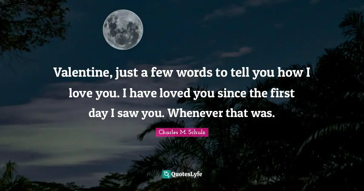 Valentine, just a few words to tell you how I love you. I have loved you since the first day I saw you. Whenever that was.