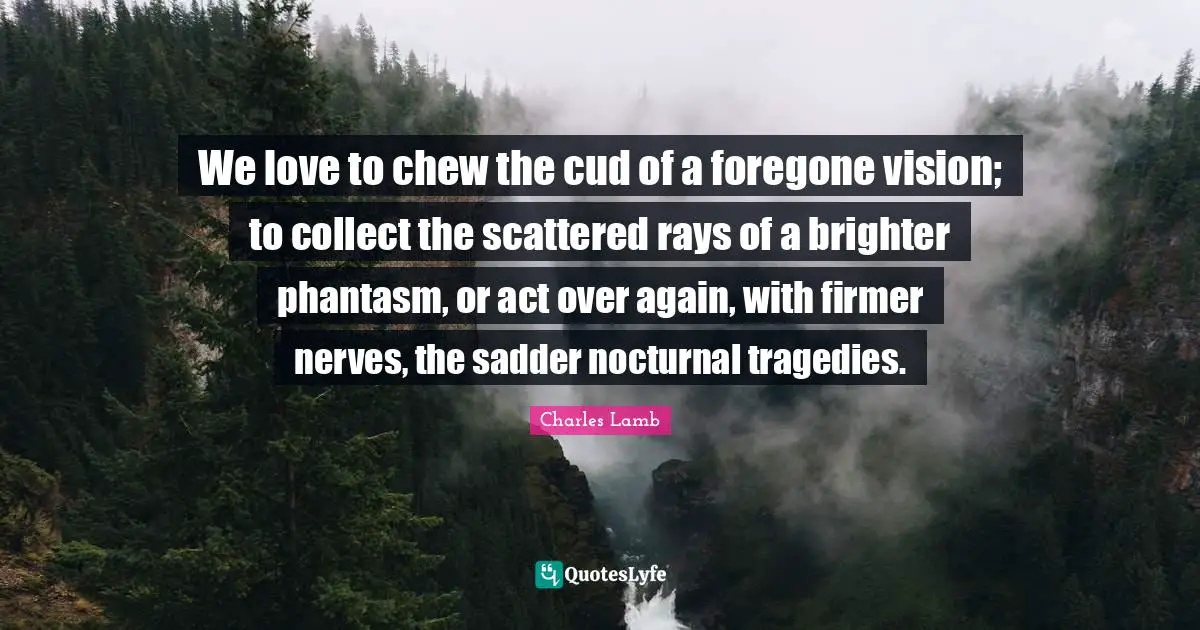 We love to chew the cud of a foregone vision; to collect the scattered rays of a brighter phantasm, or act over again, with firmer nerves, the sadder nocturnal tragedies.