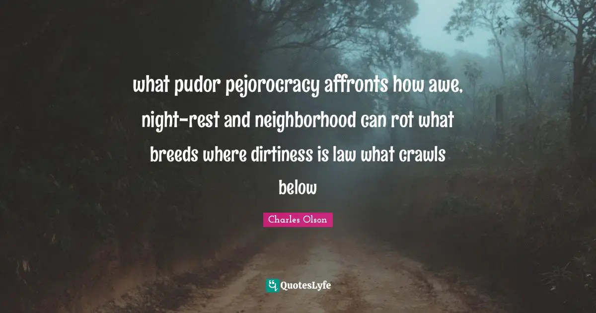 what pudor pejorocracy affronts how awe, night-rest and neighborhood can rot what breeds where dirtiness is law what crawls below