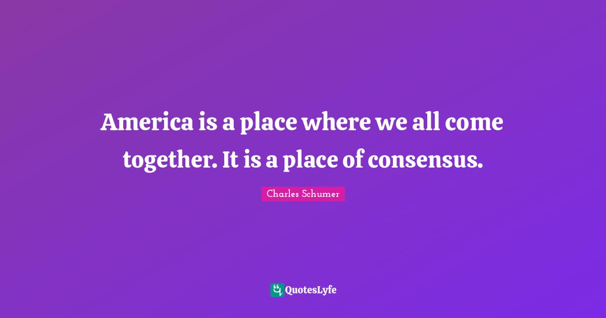 Charles Schumer Quotes: "America is a place where we all come together. It is a place of consensus."