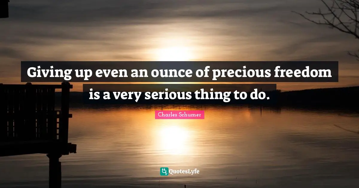 Charles Schumer Quotes: "Giving up even an ounce of precious freedom is a very serious thing to do."