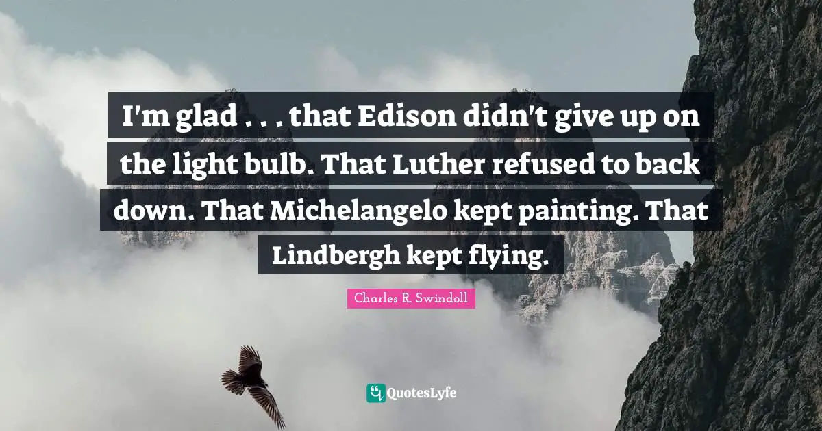 I'm glad . . . that Edison didn't give up on the light bulb. That Luther refused to back down. That Michelangelo kept painting. That Lindbergh kept flying.