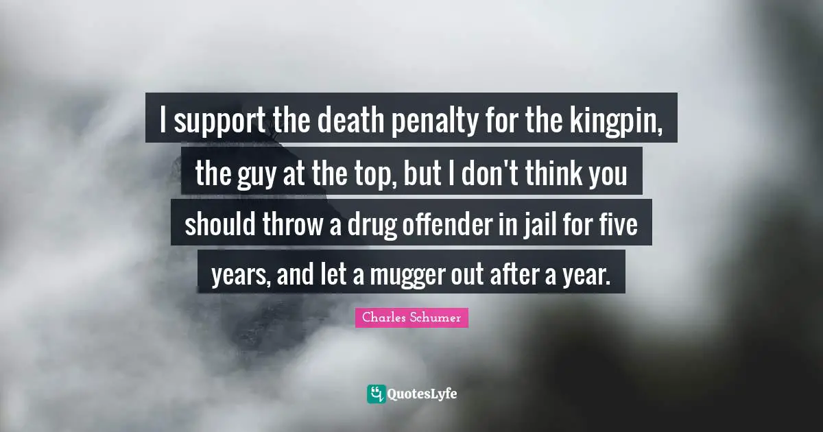 I support the death penalty for the kingpin, the guy at the top, but I don't think you should throw a drug offender in jail for five years, and let a mugger out after a year.