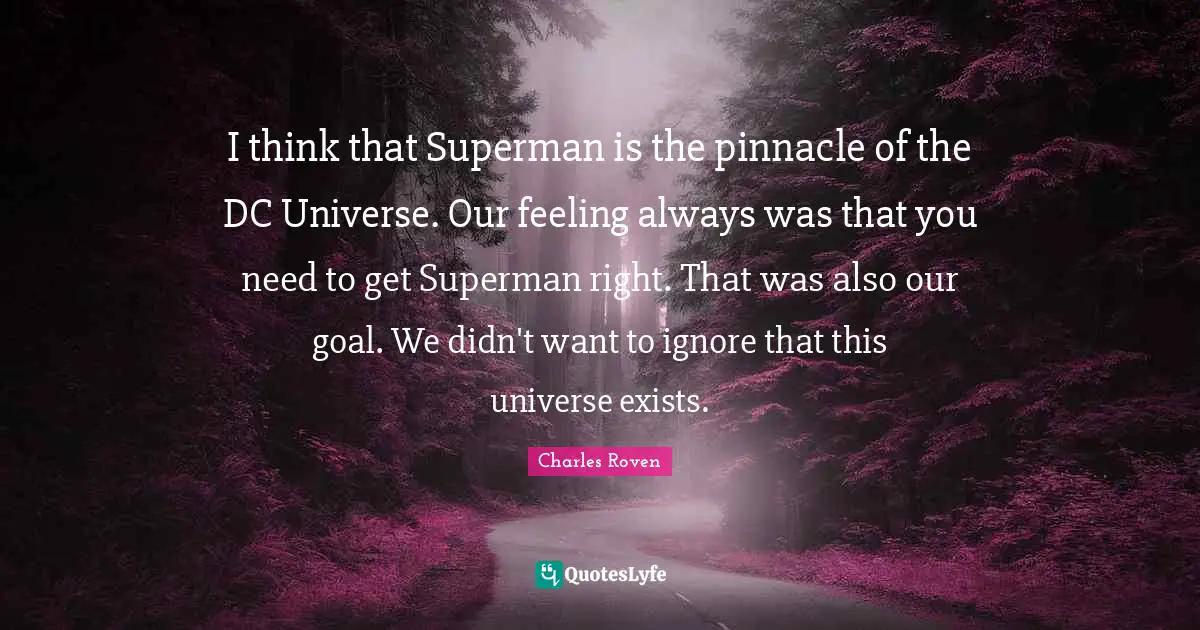 I think that Superman is the pinnacle of the DC Universe. Our feeling always was that you need to get Superman right. That was also our goal. We didn't want to ignore that this universe exists.