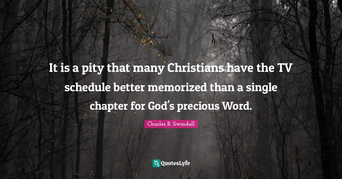 It is a pity that many Christians have the TV schedule better memorized than a single chapter for God's precious Word.