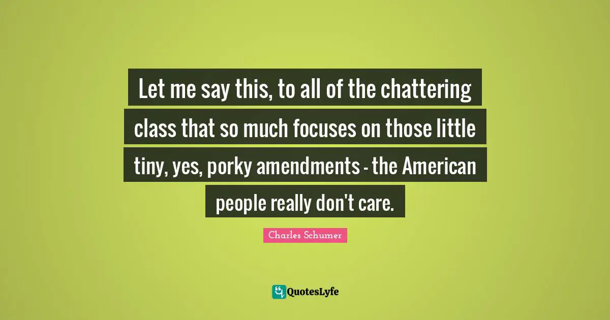 Charles Schumer Quotes: "Let me say this, to all of the chattering class that so much focuses on those little tiny, yes, porky amendments - the American people really don't care."