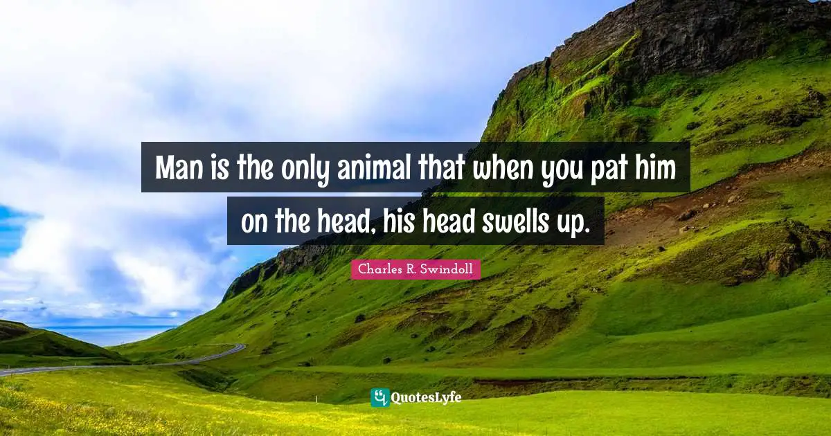 Man is the only animal that when you pat him on the head, his head swells up.