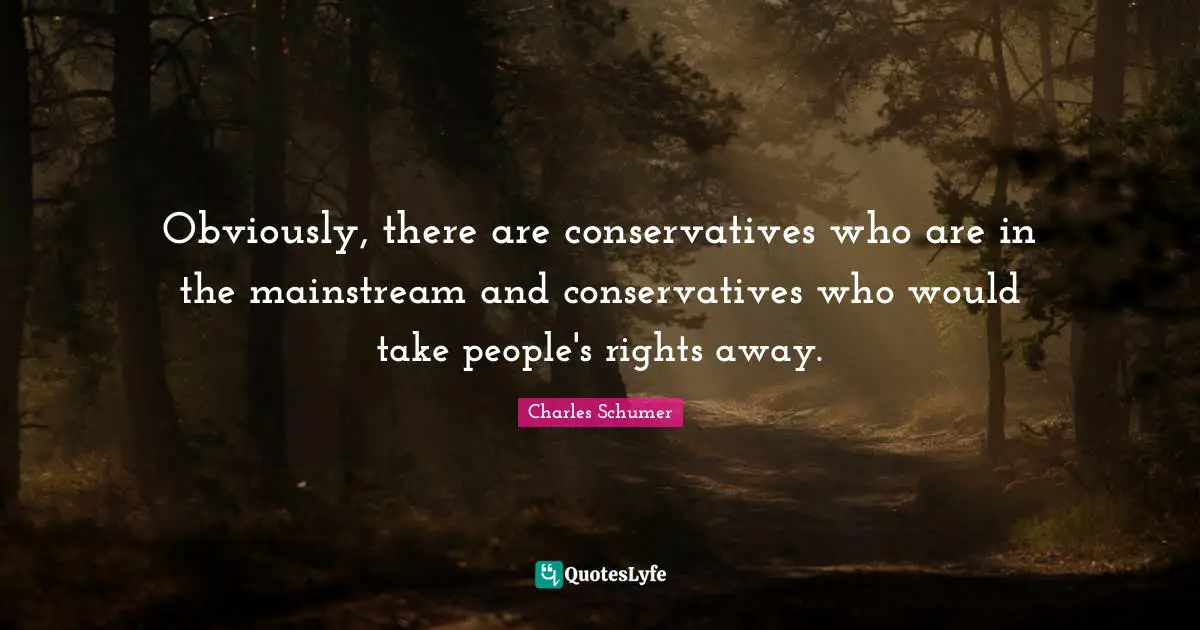 Charles Schumer Quotes: "Obviously, there are conservatives who are in the mainstream and conservatives who would take people's rights away."
