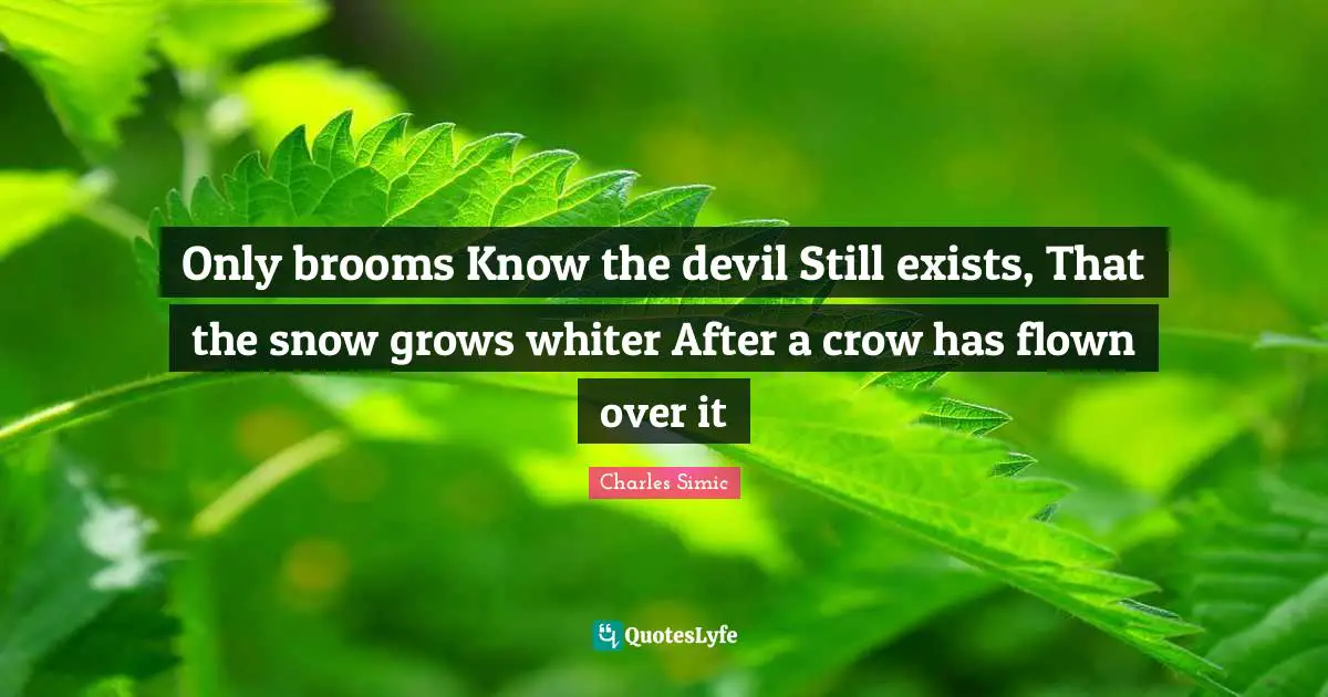 Only brooms Know the devil Still exists, That the snow grows whiter After a crow has flown over it