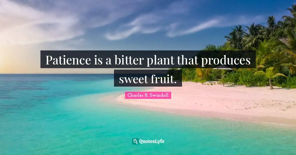 Charles R. Swindoll Quotes: "Patience is a bitter plant that produces sweet fruit."