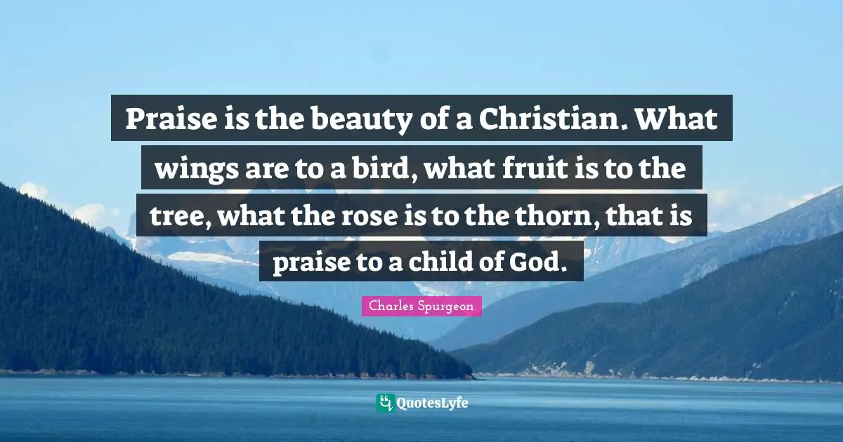 Praise is the beauty of a Christian. What wings are to a bird, what fruit is to the tree, what the rose is to the thorn, that is praise to a child of God.