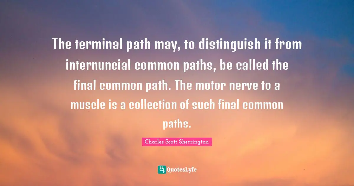 The terminal path may, to distinguish it from internuncial common paths, be called the final common path. The motor nerve to a muscle is a collection of such final common paths.