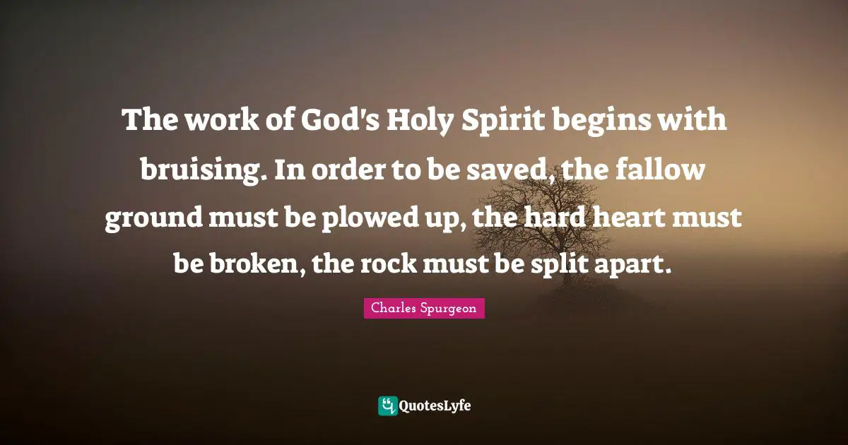 The work of God's Holy Spirit begins with bruising. In order to be saved, the fallow ground must be plowed up, the hard heart must be broken, the rock must be split apart.