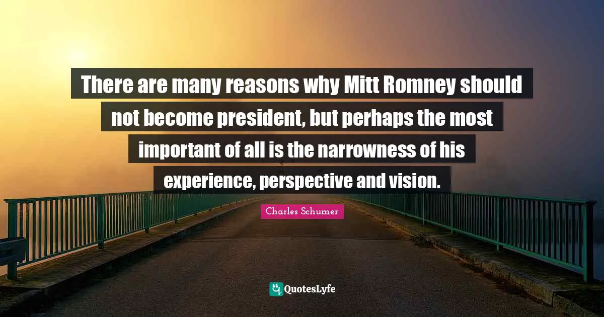 There are many reasons why Mitt Romney should not become president, but perhaps the most important of all is the narrowness of his experience, perspective and vision.