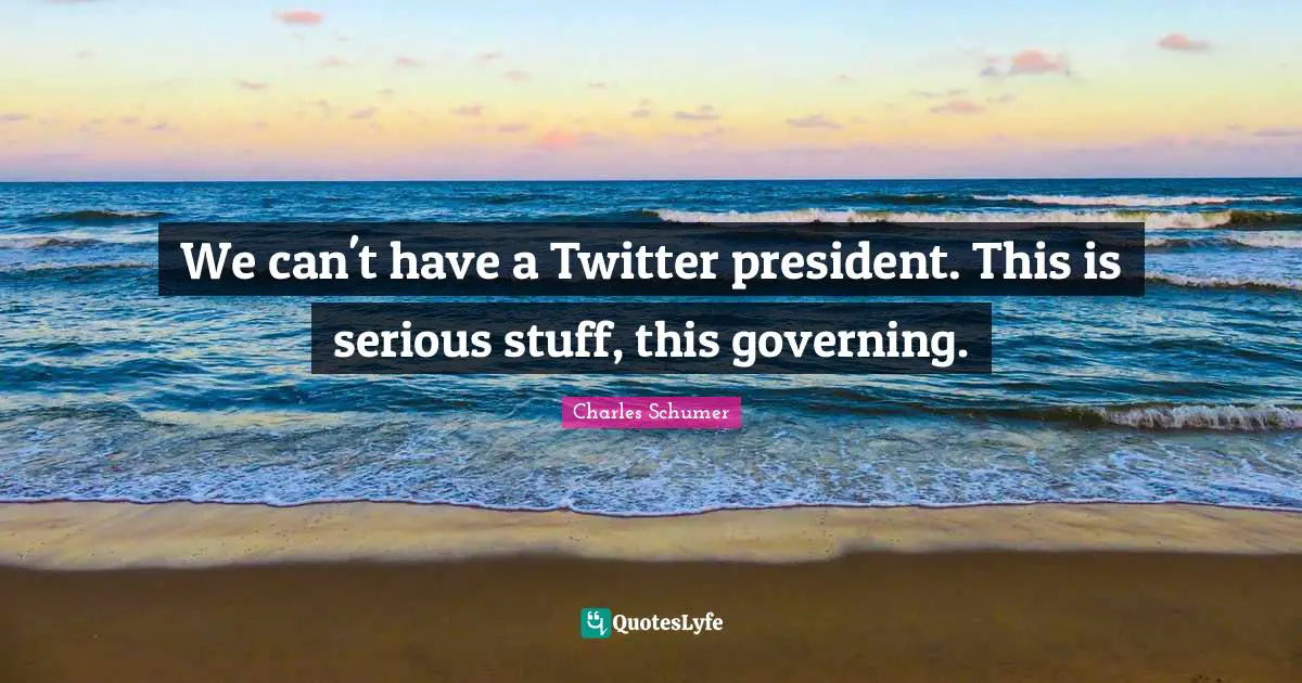 Charles Schumer Quotes: "We can't have a Twitter president. This is serious stuff, this governing."