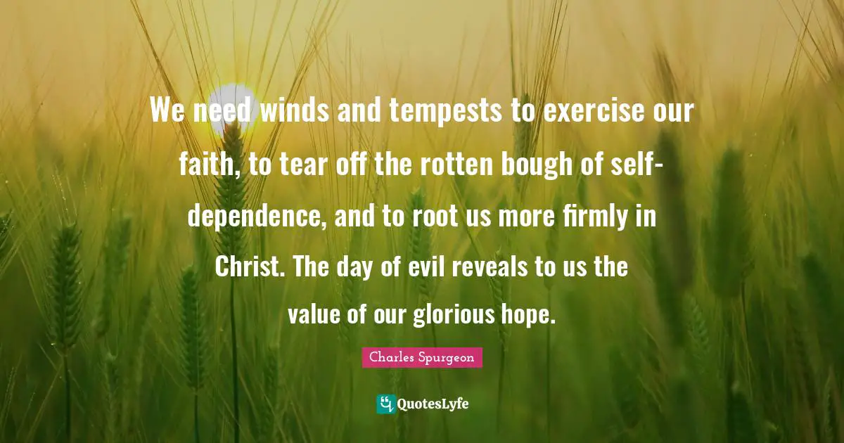 We need winds and tempests to exercise our faith, to tear off the rotten bough of self-dependence, and to root us more firmly in Christ. The day of evil reveals to us the value of our glorious hope.