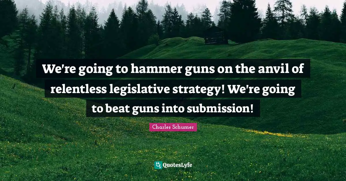 Charles Schumer Quotes: "We're going to hammer guns on the anvil of relentless legislative strategy! We're going to beat guns into submission!"