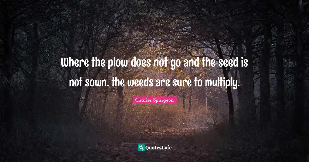 Where the plow does not go and the seed is not sown, the weeds are sure to multiply.
