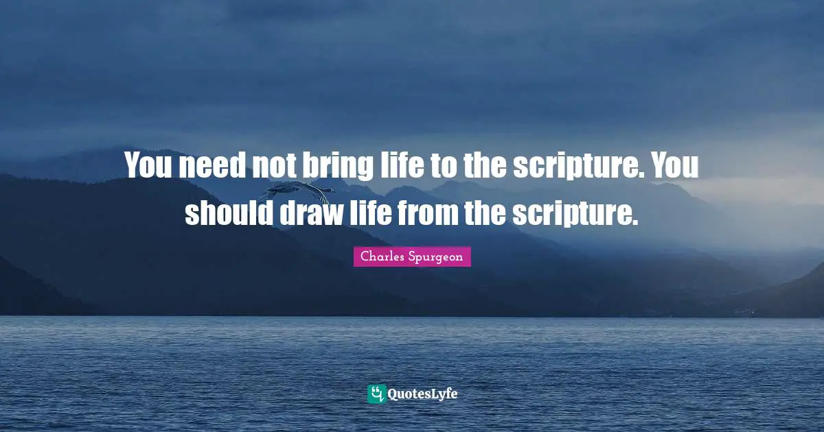 You need not bring life to the scripture. You should draw life from the scripture.