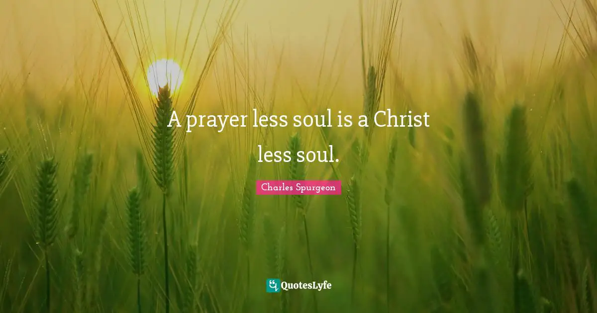 A prayer less soul is a Christ less soul.