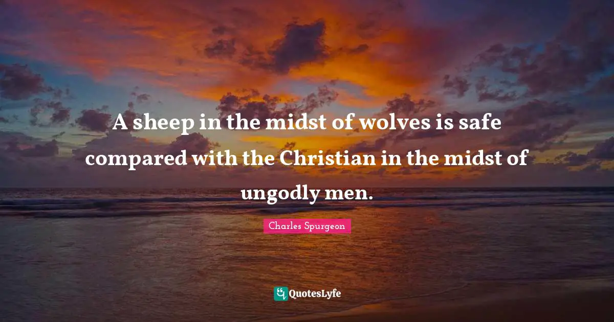 A sheep in the midst of wolves is safe compared with the Christian in the midst of ungodly men.