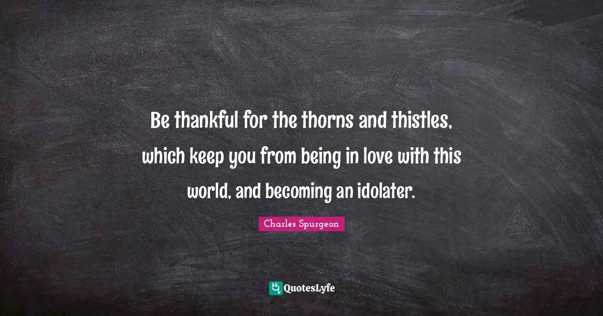 Charles Spurgeon Quotes: "Be thankful for the thorns and thistles, which keep you from being in love with this world, and becoming an idolater."